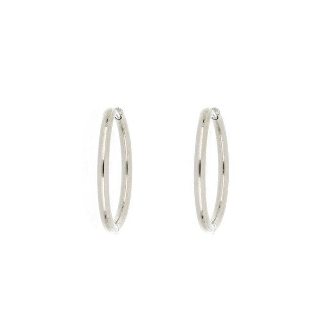 Orecchini cerchi in Acciaio argentato 24 mm